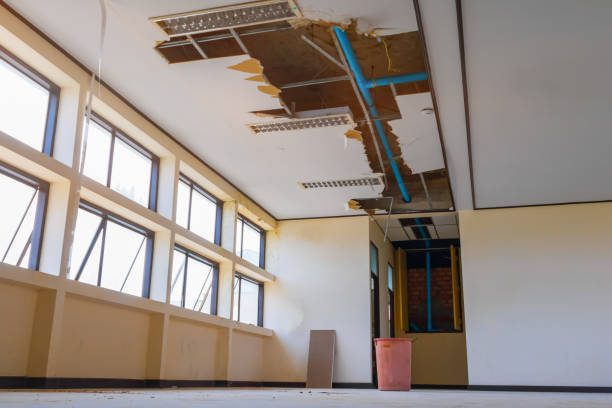 Best Sewage cleanup and water damage restoration  in Red Bay, AL
