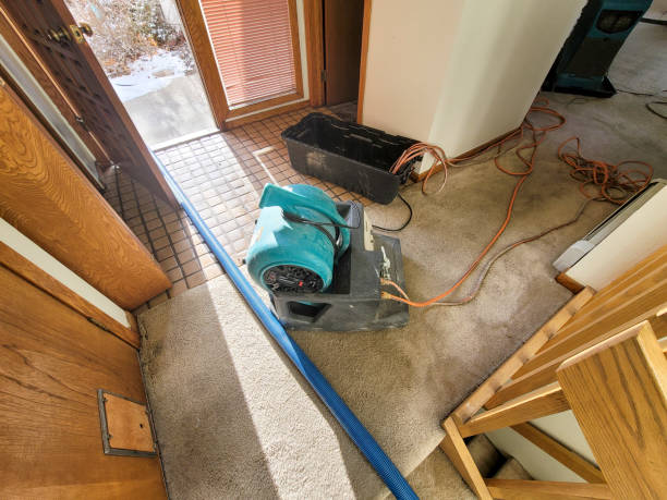 Best Professional water damage repair  in Red Bay, AL