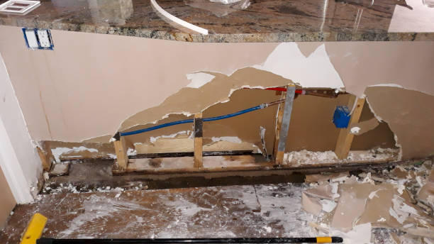 Best Water damage restoration near me  in Red Bay, AL